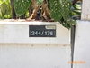 listing thumbnail image 10
