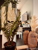 listing thumbnail image 22
