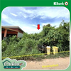 listing thumbnail image 14