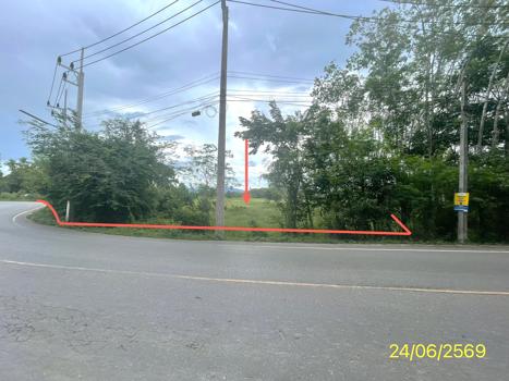 picture LAND 785 Sq.w. Hat Yai Songkhla for 4.5M - 18/21
