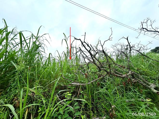 รูป ที่ดินว่างเปล่า 1802 ตร.วา เมืองนครสวรรค์ นครสวรรค์ 3.2M - รูปที่ 7/17