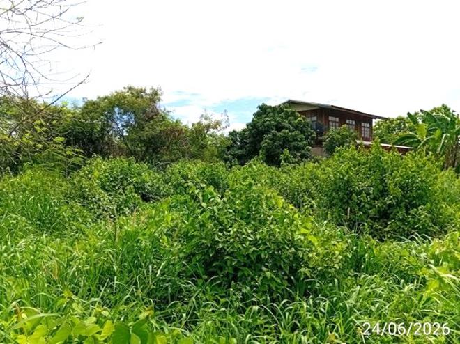 รูป ที่ดินว่างเปล่า 801 ตร.วา ศรีบุญเรือง หนองบัวลำภู 1.1M - รูปที่ 5/21