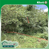 listing thumbnail image 16