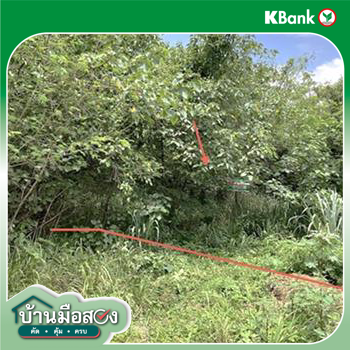 รูป ที่ดินว่างเปล่า 827 ตร.วา ภูริพิมาน ปากช่อง นครราชสีมา 3.5M - รูปที่ 17/19