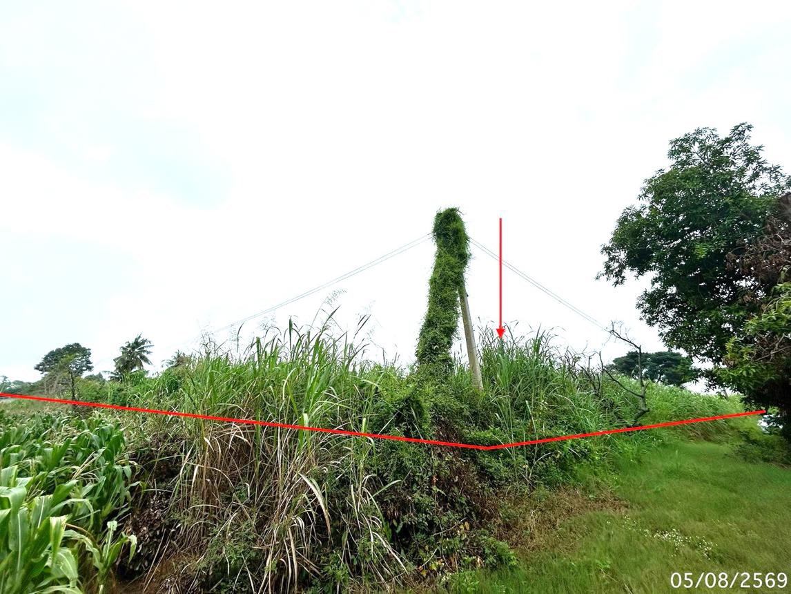 รูป ที่ดินว่างเปล่า 1802 ตร.วา เมืองนครสวรรค์ นครสวรรค์ 3.2M - รูปที่ 12/17
