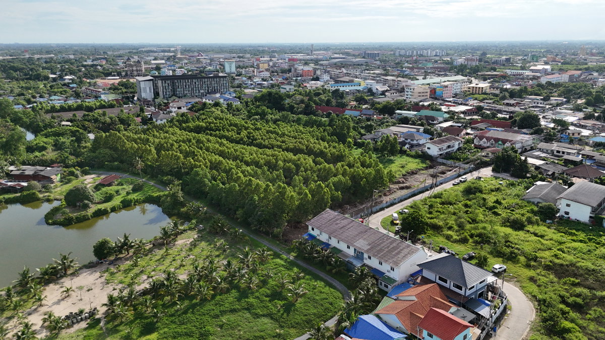 รูป  ขายที่ดินแปลงใหญ่ 10 ไร่ ใจกลางเมืองฉะเชิงเทราทางไปวัดหลวงพ่อโสธร - รูปที่ 5/6
