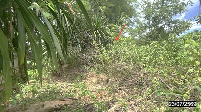 picture LAND 723 Sq.w. Wang Saphung Loei for 2.5M - 5/15