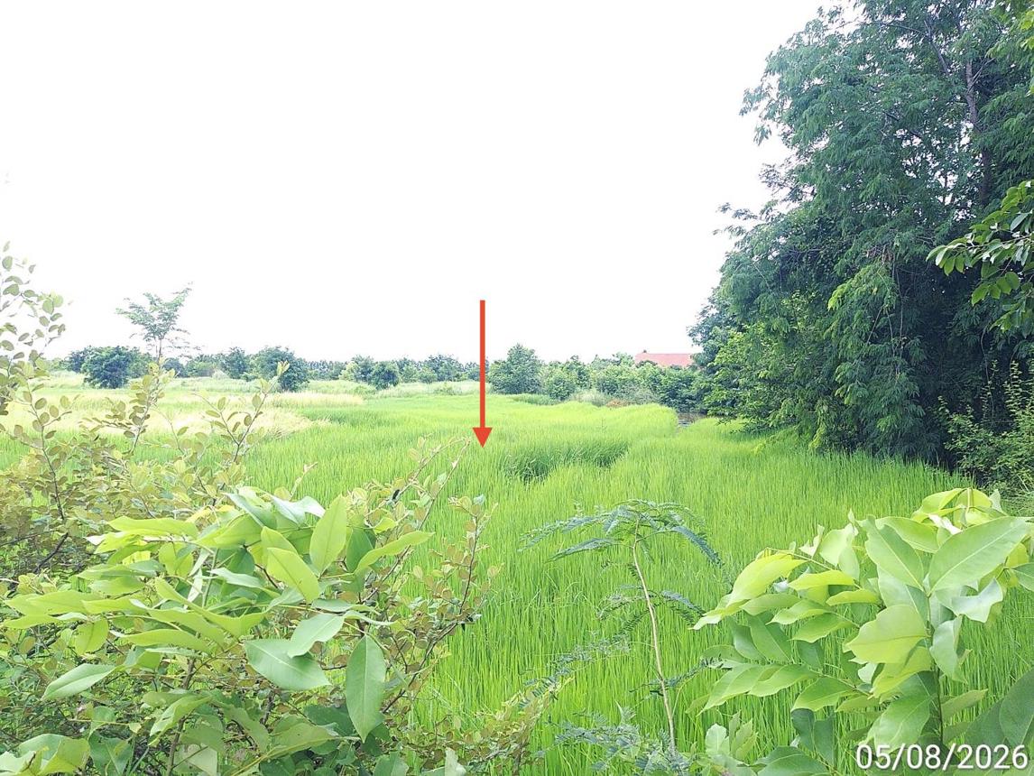 รูป ที่ดินว่างเปล่า 6694 ตร.วา อรัญประเทศ สระแก้ว 6M - รูปที่ 13/17