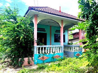บ้านเดี่ยว สุโขทัย : บ้านเดี่ยว 294 ตร.วา ศรีนคร สุโขทัย 1.5M