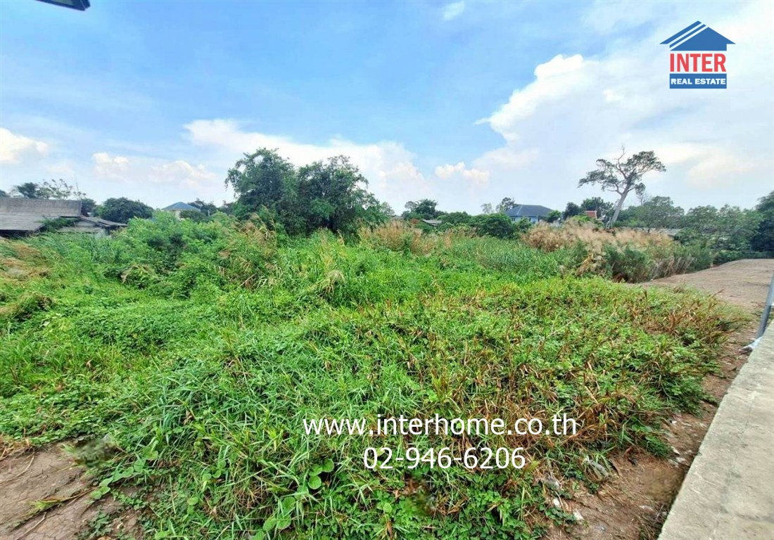 รูป ที่ดินเปล่า 3 ไร่ 263.9 ตร.ว. ที่ดินติดแม่น้ำเจ้าพระยา เมืองปทุมธานี ใกล้วัดเทียนถวาย - รูปที่ 9/19