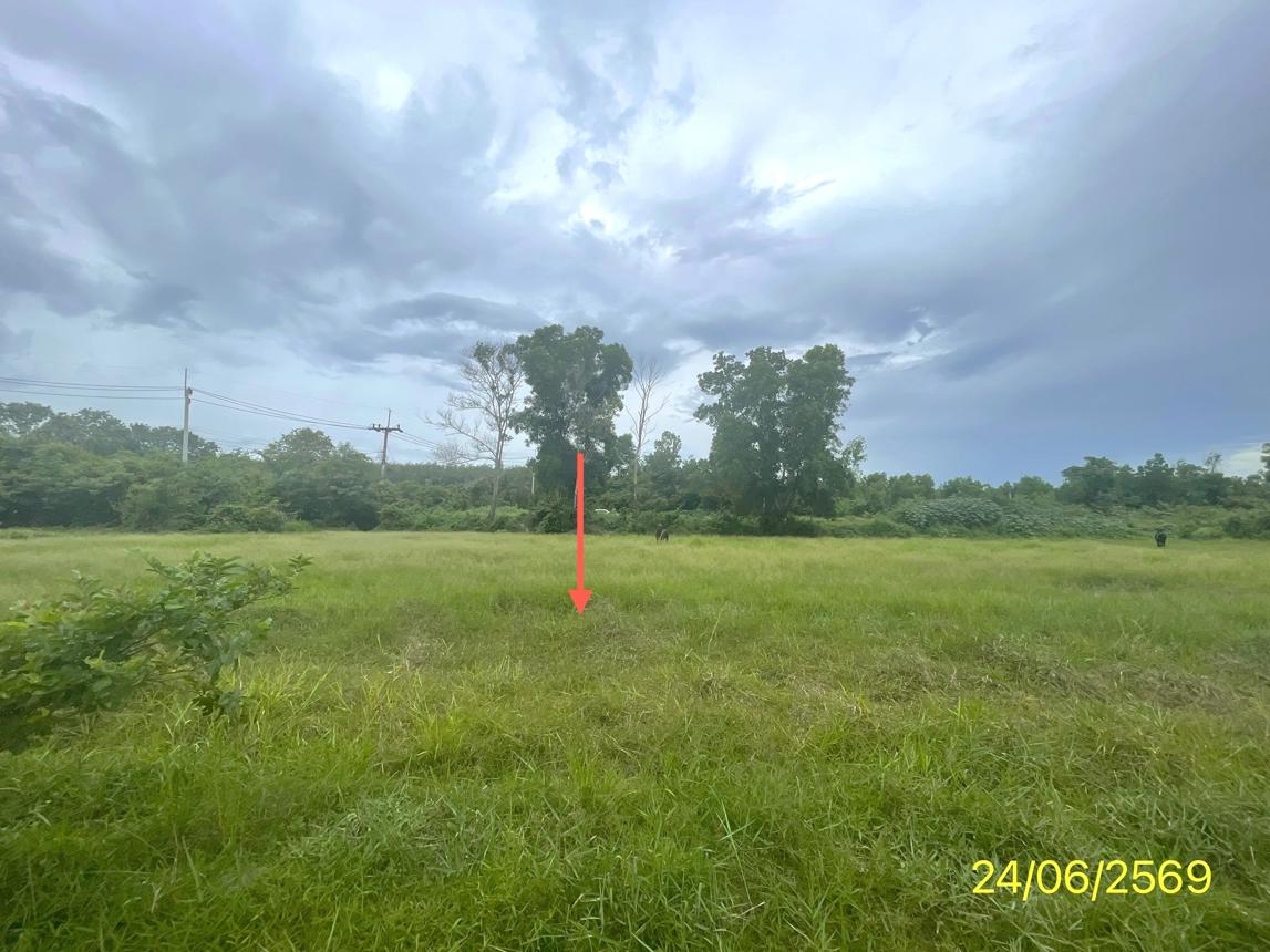 picture LAND 785 Sq.w. Hat Yai Songkhla for 4.5M - 16/21