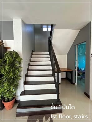 รูป บ้านเดี่ยว+อาคาร ชั้นเดียว โซน ตลาดไท 109 ตรว.  - รูปที่ 2/19