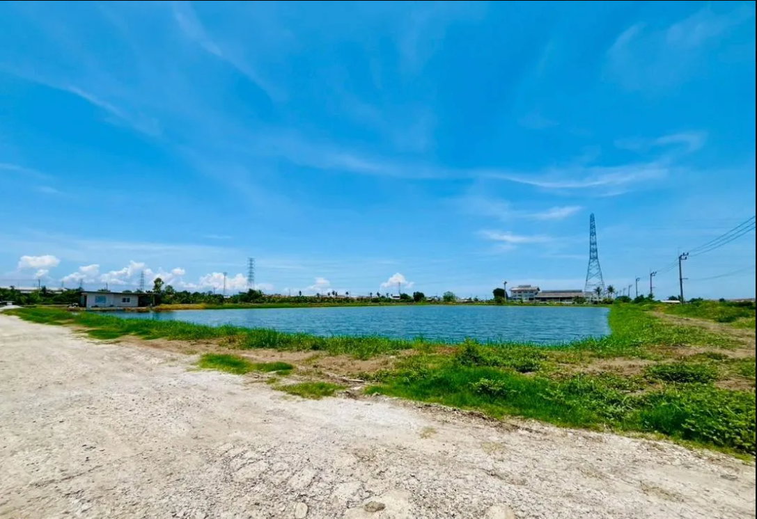 picture sell land at Samutprakarn 14 rai 94 sqw - 4/9