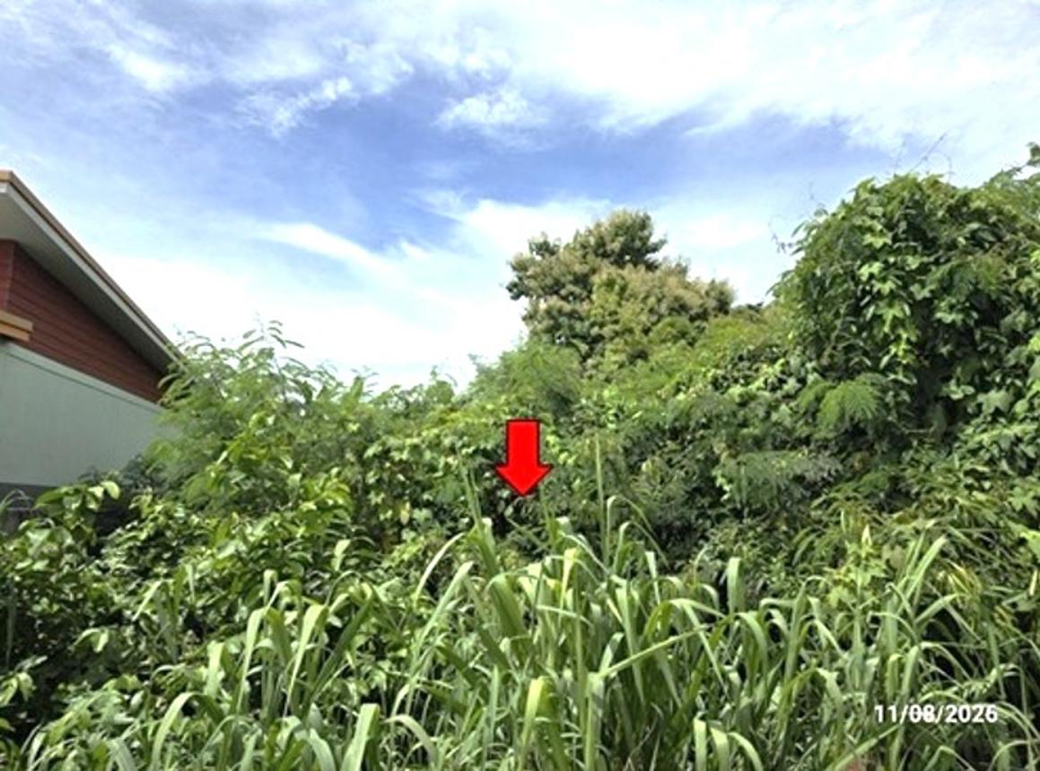 รูป ที่ดินว่างเปล่า 165 ตร.วา เมืองหนองบัวลำภู หนองบัวลำภู 644,000 - รูปที่ 12/17