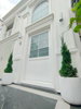 listing thumbnail image 21