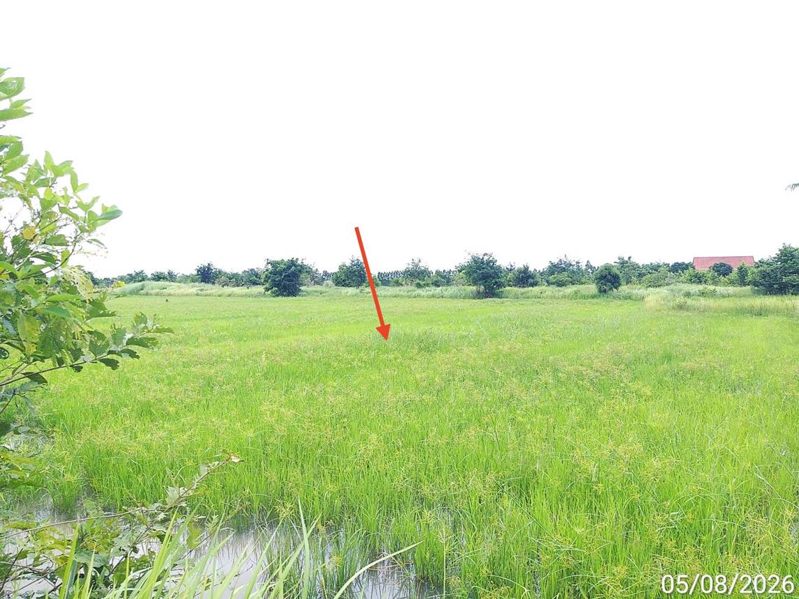 รูป ที่ดินว่างเปล่า 6694 ตร.วา อรัญประเทศ สระแก้ว 6M - รูปที่ 12/17