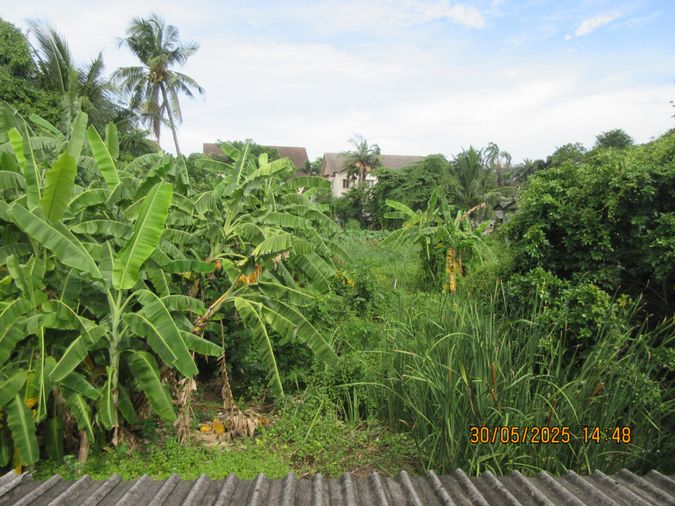 ขายบ้านเดี่ยว 2 ห้องนอน 128 ตร.ม. 616 ตร.ว. เขตบางเขน