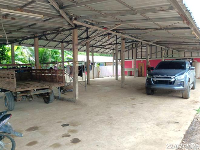 รูป บ้านเดี่ยว 150 ตร.วา เมืองเพชรบูรณ์ เพชรบูรณ์ 1.5M - รูปที่ 13/29