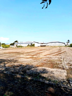ที่ดิน สามพราน นครปฐม : ขายที่ดินพื้นที่สีม่วง 4 ไร่ 1 งาน สามพราน นครปฐม