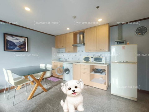 2Bed Pet Friendly Condo for Rent Sukhumvit Central Bangkok✨Wireless, Near BTS Ploenchit, MRT Petchaburi🔰 We can show all available units here