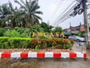 listing thumbnail image 17