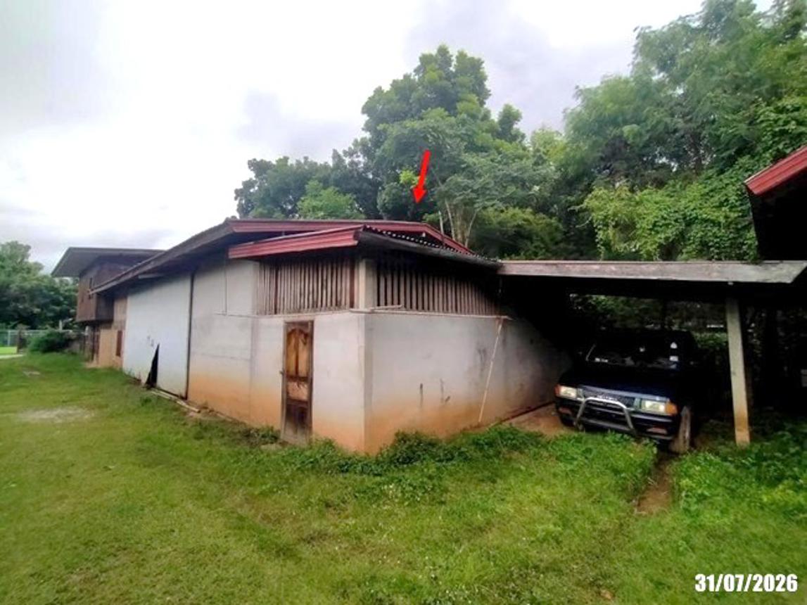 picture HOME 429 Sq.w. Tha Li Loei for 1.3M - 19/35