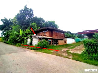ขายบ้านเดี่ยว : บ้านเดี่ยว 429 ตร.วา ท่าลี่ เลย 1.3M