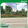 listing thumbnail image 12