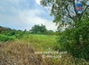 listing thumbnail image 17