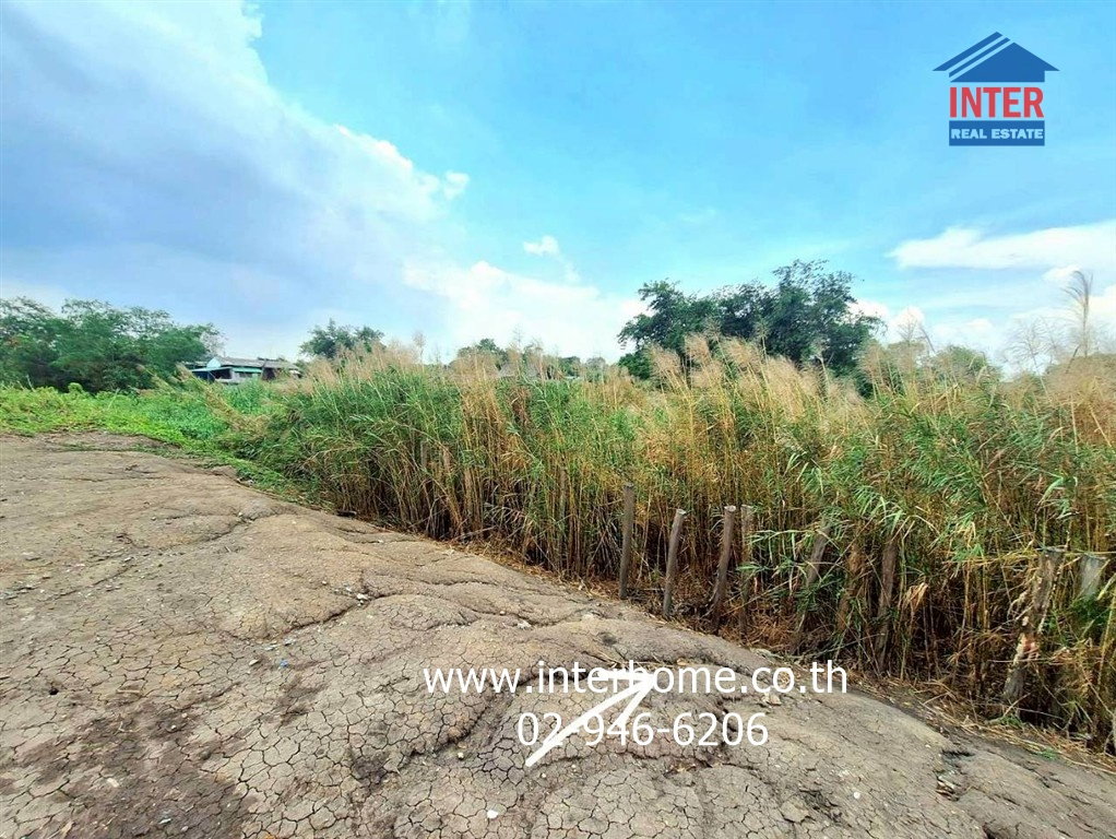 รูป ที่ดินเปล่า 3 ไร่ 263.9 ตร.ว. ที่ดินติดแม่น้ำเจ้าพระยา เมืองปทุมธานี ใกล้วัดเทียนถวาย - รูปที่ 8/19
