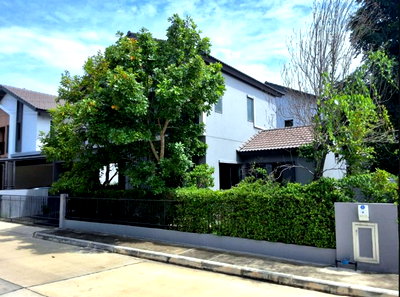 บ้านเดี่ยว เมืองปทุมธานี ปทุมธานี : H3449 ขายบ้านแฝด อณาสิริ ราชพฤกษ์ - 346 ตำบลบางคูวัด อำเภอเมืองปทุมธานี จังหวัดปทุมธานี