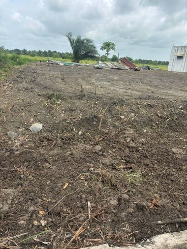 Land for sale, 462 sq wah, Nong Chok