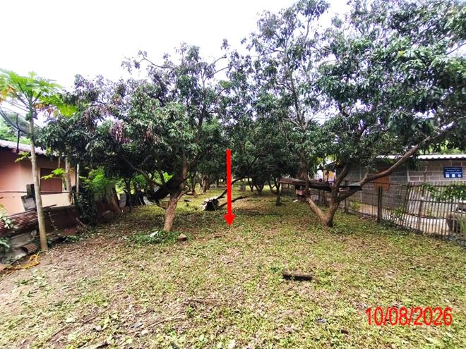 รูป บ้านเดี่ยว 247 ตร.วา ป่าซาง ลำพูน 768,000 - รูปที่ 10/33