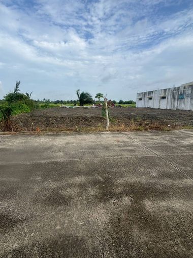 Land for sale, 462 sq wah, Nong Chok
