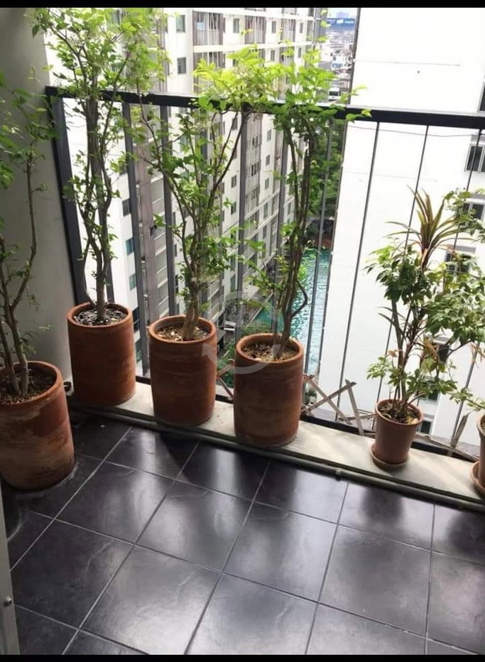 รูป 🔥ให้เช่า🔥🪄🎀A Space Asoke-Ratchada🎀🪄ห้องสวย ทำเลดีย่าน พระราม 9 ห้วยขวาง รัชดา สุทธิสาร 🚅MRT พระราม 9🟠🔵PS-22601594💚LINE : @propsync - รูปที่ 7/11