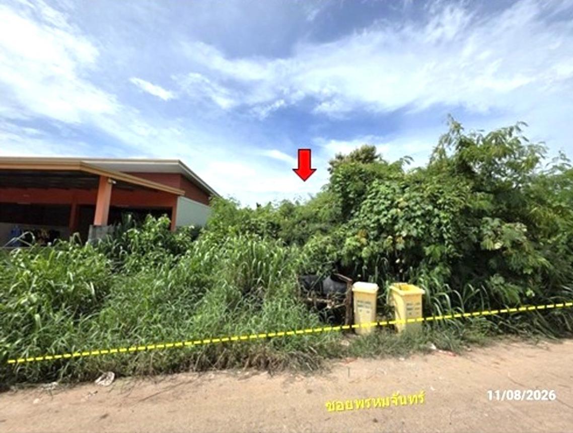 รูป ที่ดินว่างเปล่า 165 ตร.วา เมืองหนองบัวลำภู หนองบัวลำภู 644,000 - รูปที่ 8/17