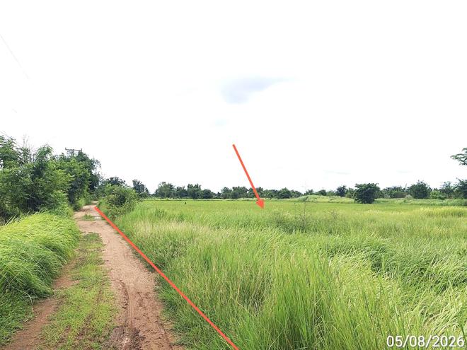 รูป ที่ดินว่างเปล่า 6694 ตร.วา อรัญประเทศ สระแก้ว 6M - รูปที่ 5/17