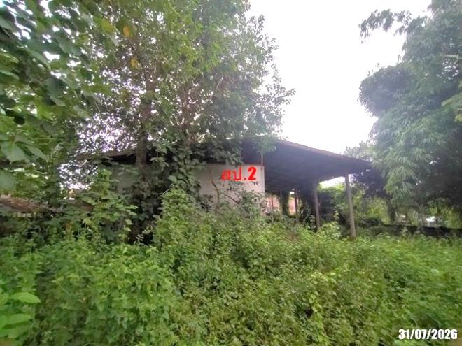 picture HOME 429 Sq.w. Tha Li Loei for 1.3M - 15/35