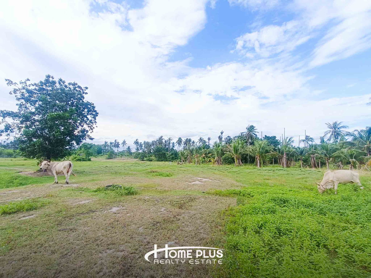 รูป 🌳 ขายที่ดิน 14 ไร่ 24 ตร.ว. ใกล้สถานีรถไฟห้วยยาง อำเภอทับสะแก จังหวัดประจวบคีรีขันธ์ - รูปที่ 16/16