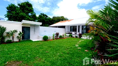 Houses for rent Surat Thani : 3 Bedroom House for rent in Maenam, Surat Thani  6736642