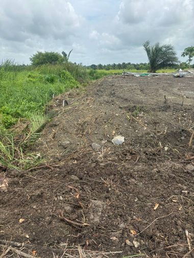 Land for sale, 462 sq wah, Nong Chok