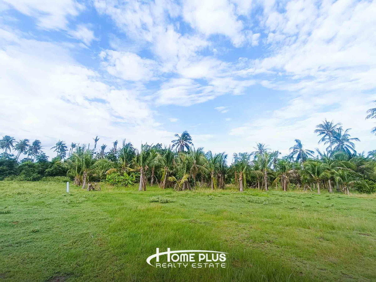 รูป 🌳 ขายที่ดิน 14 ไร่ 24 ตร.ว. ใกล้สถานีรถไฟห้วยยาง อำเภอทับสะแก จังหวัดประจวบคีรีขันธ์ - รูปที่ 15/16