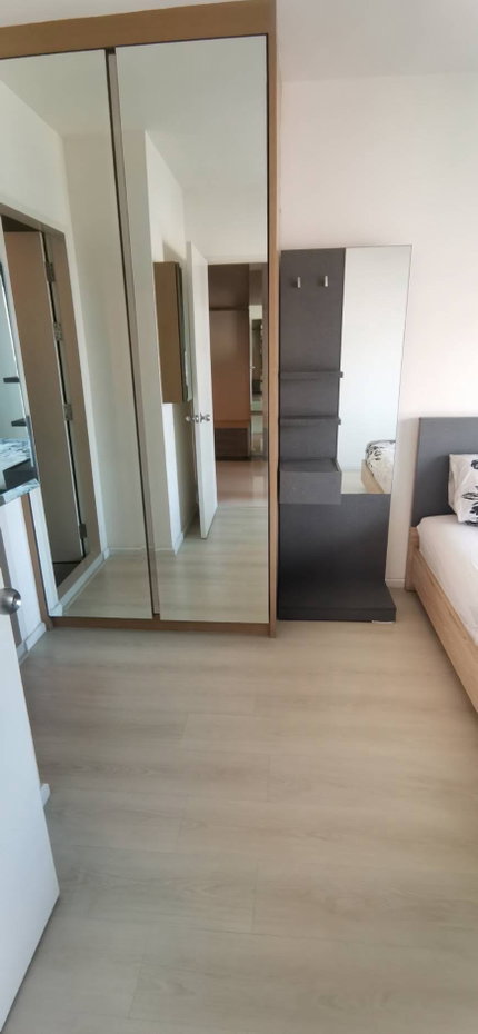 picture Shock price for rent at Aspire 48 - 2/7