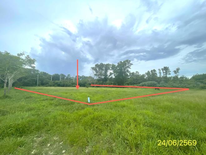 picture LAND 785 Sq.w. Hat Yai Songkhla for 4.5M - 9/21