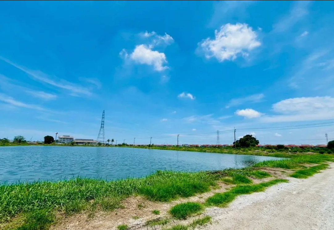 picture sell land at Samutprakarn 14 rai 94 sqw - 9/9