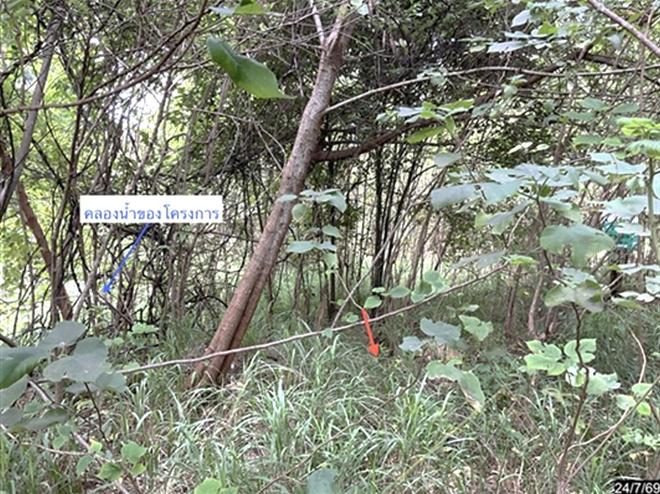 รูป ที่ดินว่างเปล่า 929 ตร.วา ภูริพิมาน ปากช่อง นครราชสีมา 4.4M - รูปที่ 4/19