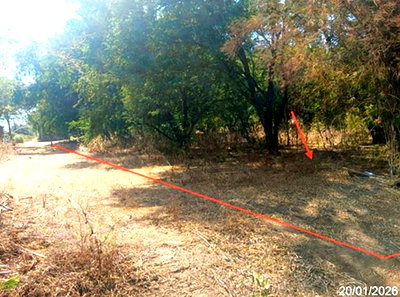 LAND 737.3 Sq.w. Muang Phetchabun Phetchabun for 1.1M