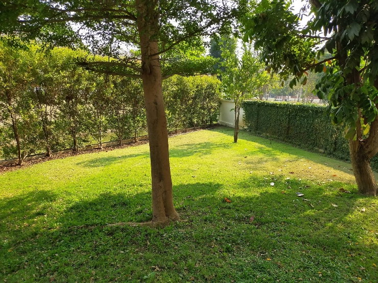 รูป 
🏡  SALE พูลวิลล่าดอยสะเก็ด — Reduced from 7.7M to only 7.5M THB - รูปที่ 4/23