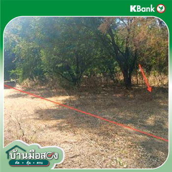 รูป ที่ดินว่างเปล่า 737.3 ตร.วา เมืองเพชรบูรณ์ เพชรบูรณ์ 1.1M - รูปที่ 13/15