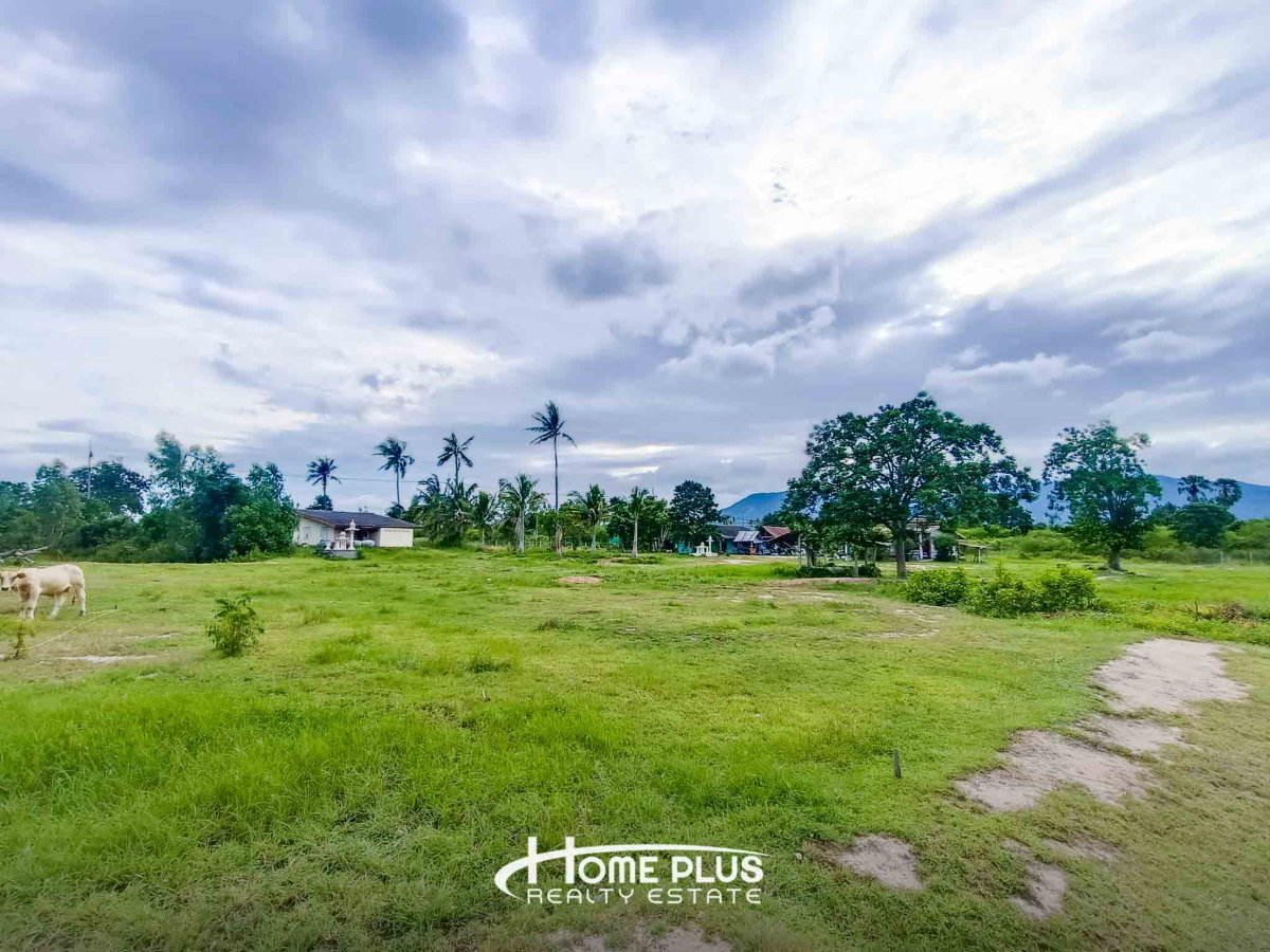 รูป 🌳 ขายที่ดิน 14 ไร่ 24 ตร.ว. ใกล้สถานีรถไฟห้วยยาง อำเภอทับสะแก จังหวัดประจวบคีรีขันธ์ - รูปที่ 13/16